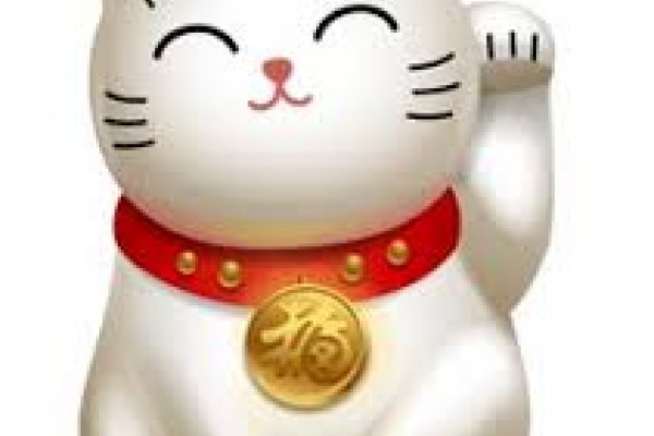 Gatto giapponese di alta fattura